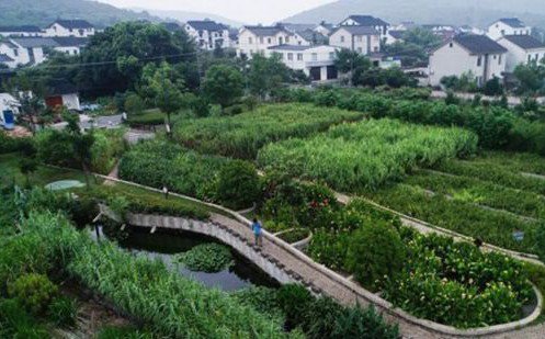 常見污水治理方法有哪些？